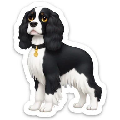 Small completely black king spaniel with black fur on his whole face and white fur on chest sticker