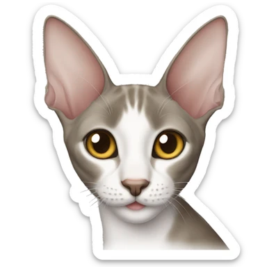 oriental shorthair cat sticker