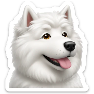 Samoye sticker