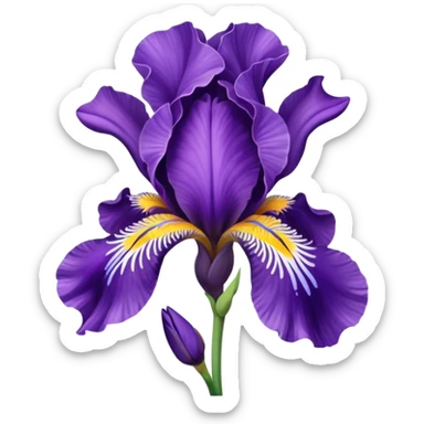 Iris  flower sticker