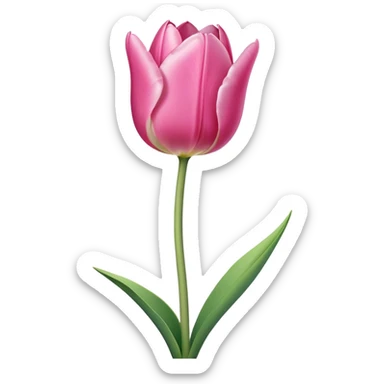 single pinkTulip, straight stem sticker