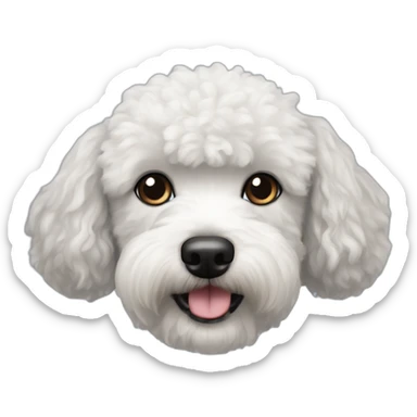 Black dog Poodle and Bichon Frise mix sticker
