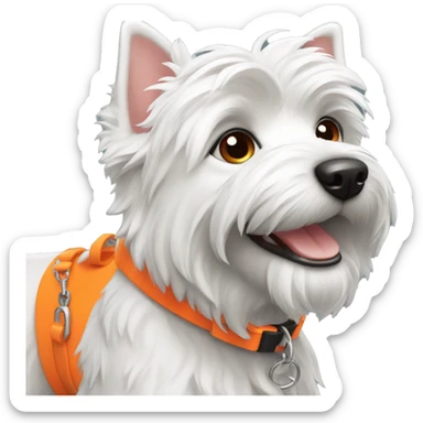 A Westie dog smiling with a neon orange collar sticker