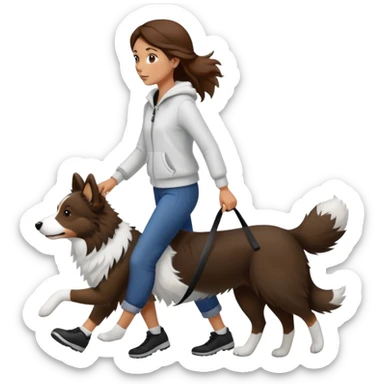 Beautiful brown-haired girl walking a Border Collie sticker