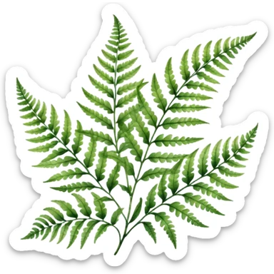 A close-up of a fern plant with intricate leaves, painted in soft watercolor greens with a subtle textured background.
 sticker
