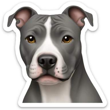 Grey American Staffordshire Terrier sticker