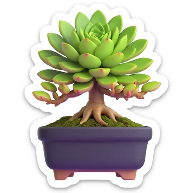 succulent bonsai plant sticker