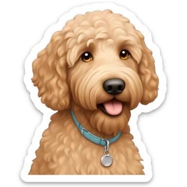 Apricot color labradoodle sticker
