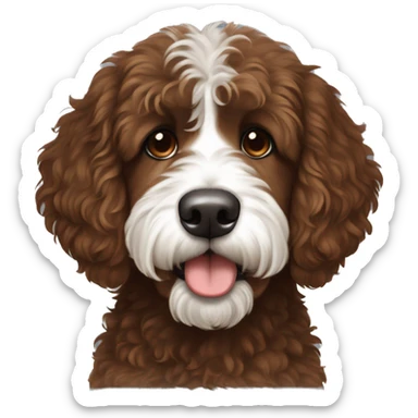Bernedoodle with fringe over eyes, dark redish brown coat with white on the center o themuzzle sticker