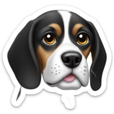 beagle dog black and white, with eyes covered in black sticker
