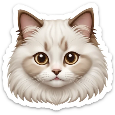 cinematic-adorable-big-eyed-fluffy-white brown-ragdoll-cat-portrait-emoji,-head-tilted-playfully-with-a-sweet-expression,-fluffy-white brown-fur,-simplified-yet-irresistibly-cute-features-with-large,-expression, sticker