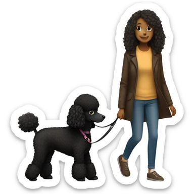 3 legs One Small unshaved Black Poodle with brown harness is walking with a black long hair pretty girl sticker