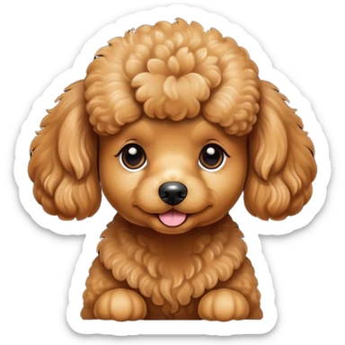 Caramel colour small fluffy poodle  sticker