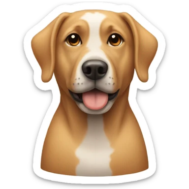 Dog wearing cone of shame  sticker