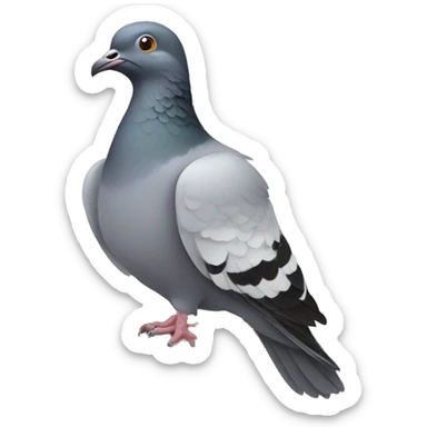 pigeon  sticker