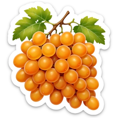 orange grapes sticker