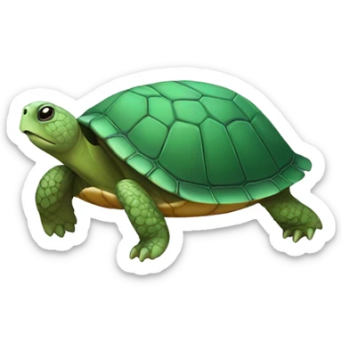 Tortue sticker