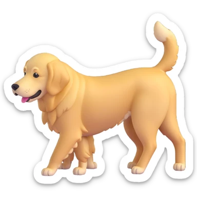realistic golden retriever, back down, face up, four legs visible sticker