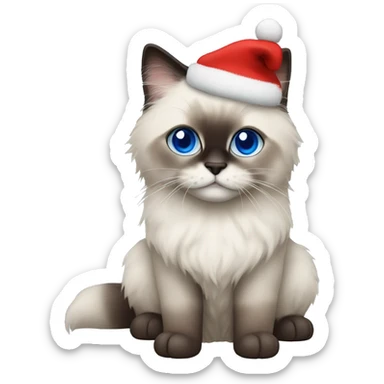 Ragdoll with blue eyes in christmas sweater sticker
