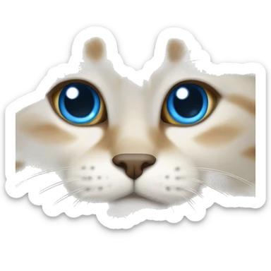 Scottish sheer cat with light brown to bright white fur color and blue eyes. sticker