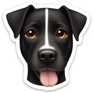 A sitting black Patterdale Terrier dog with a white patch on its chest and brown eyes. sticker
