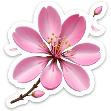 pink cherry blossom with falling petals sticker