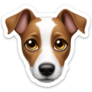 Jack Russel terrier with ears brown and around eyes brown but middle part is white sticker