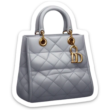 Dior bag sticker