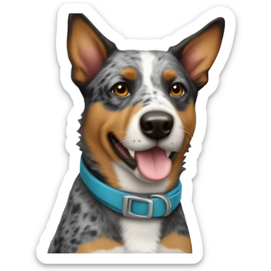 Australian Cattle Dog sticker