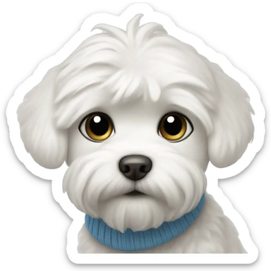 White maltese puppy with blue sweater sticker