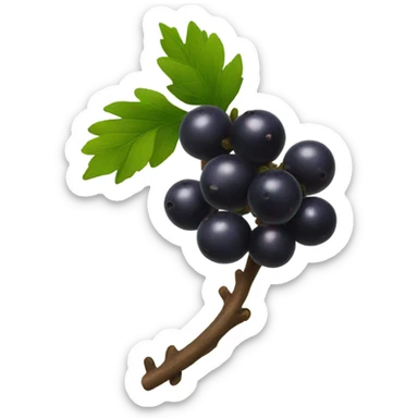 a bunch of little black berries on a branch sticker