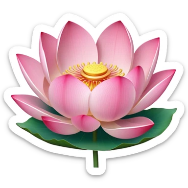 Accurate lotus flower with pink petals and botanically correct lotus leaf - round with distinctive notch, raised edges and radial veins sticker
