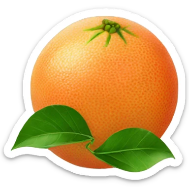 Grapefruit with leaves sticker