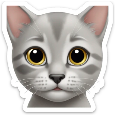 The muzzle of a gray kitten sticker