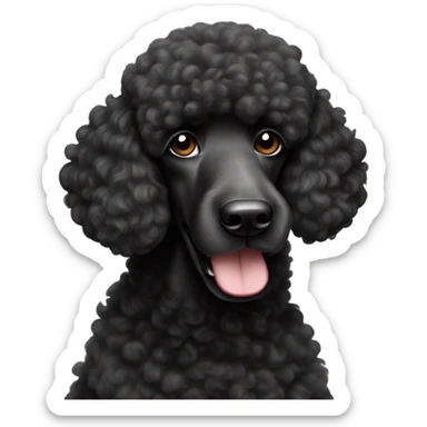 Black standard poodle called Bobby sticker