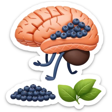 brain surrounded by healthy lifestyle choices, exercising, salmon, dark chocolate, blueberries, seeds, leafy greens . brain booster sticker