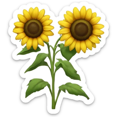 sunflower sticker