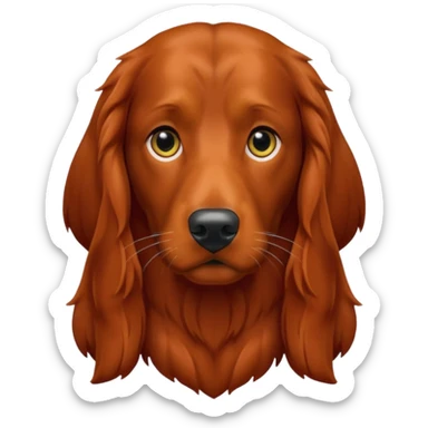 Irish setter  sticker