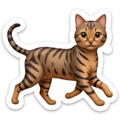 Cute dark grey and brown bengal cat running sticker
