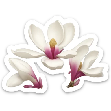 Magnolia gardening sticker