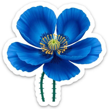 Realistic Still life, Blue Poppy flower sticker