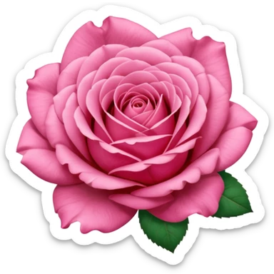 “A Polaroid-style photo of a pink rose  sticker
