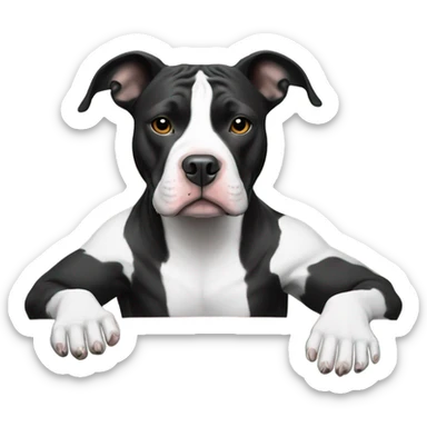 Black and white pit bull playing poker sticker