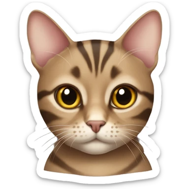 The British fold-eared striped brown cat sticker