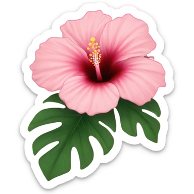 blush pink hibiscus flower sticker
