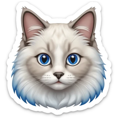 Ragdoll cat, with dark nose area with bright blue eyes sticker