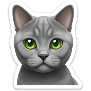 Grey British shorthair with green eyes  sticker