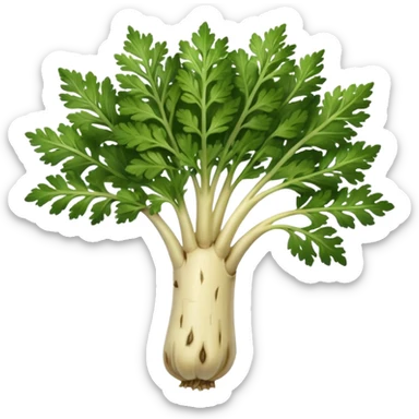 parsley root sticker