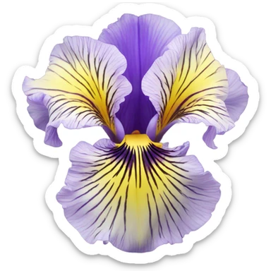 Iris flower sticker