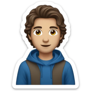 guy with middle long brown hair, big brown eyes and blu hoodie sticker